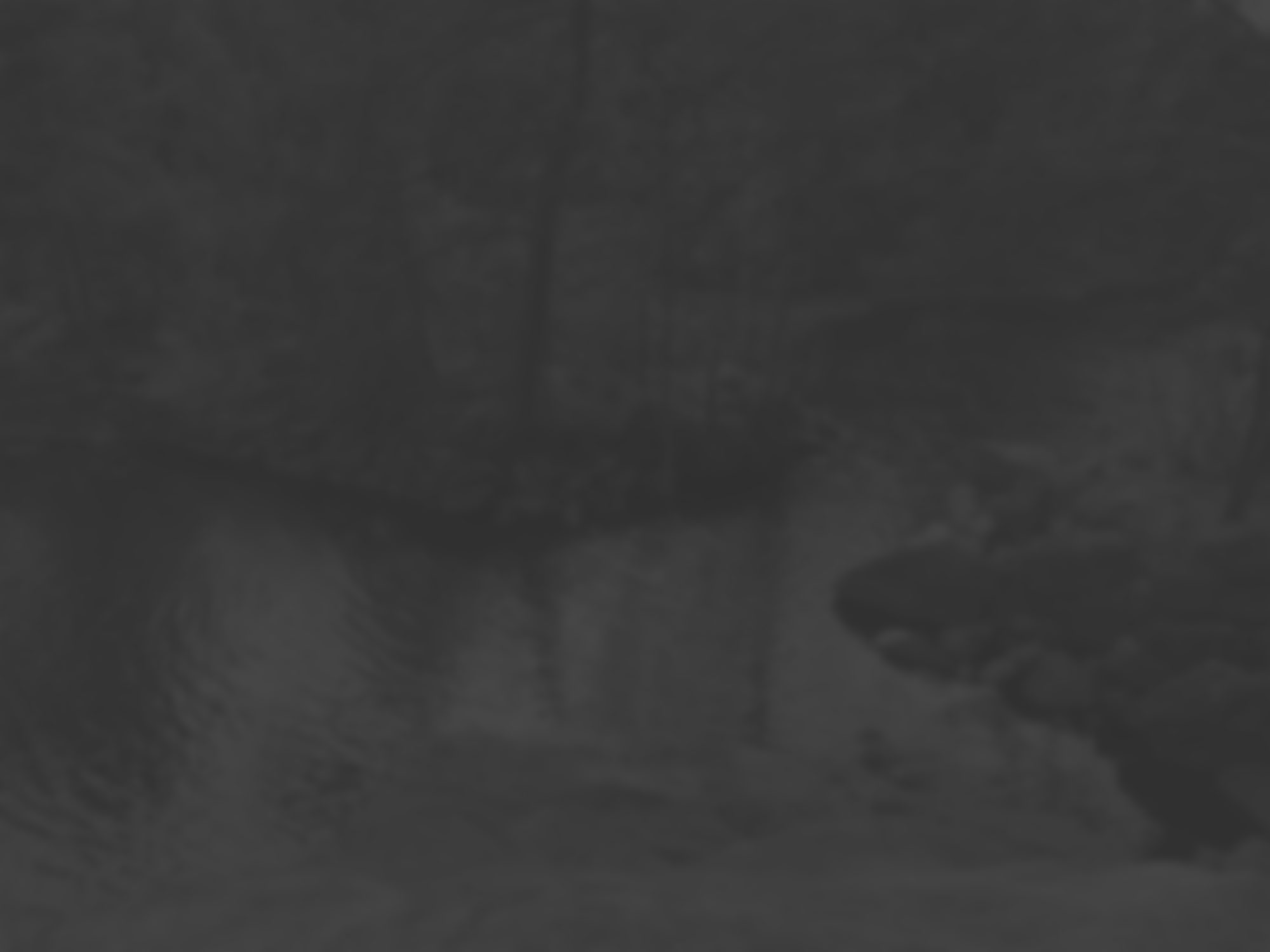 Krokssjö i Västerbotten